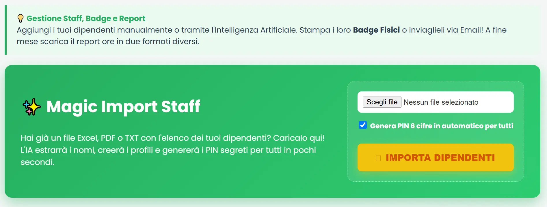 Gestione personale dipendenti Magic Import Staff AI