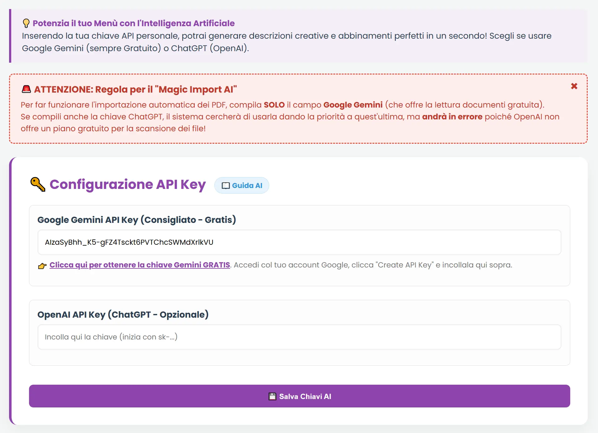 Gestione vetrina. Inserisci qui la chiave Apy di Goggle per importare i tuoi annunci con Magic Import dei PDF 